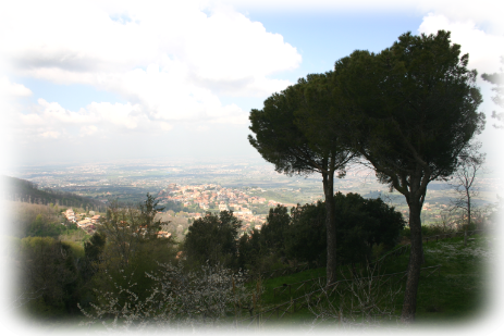 Vista dal campo avventura