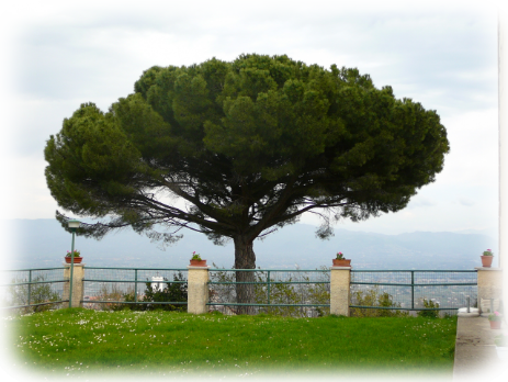 Panorama dalla terrazza verde